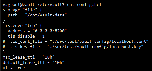 vault config file