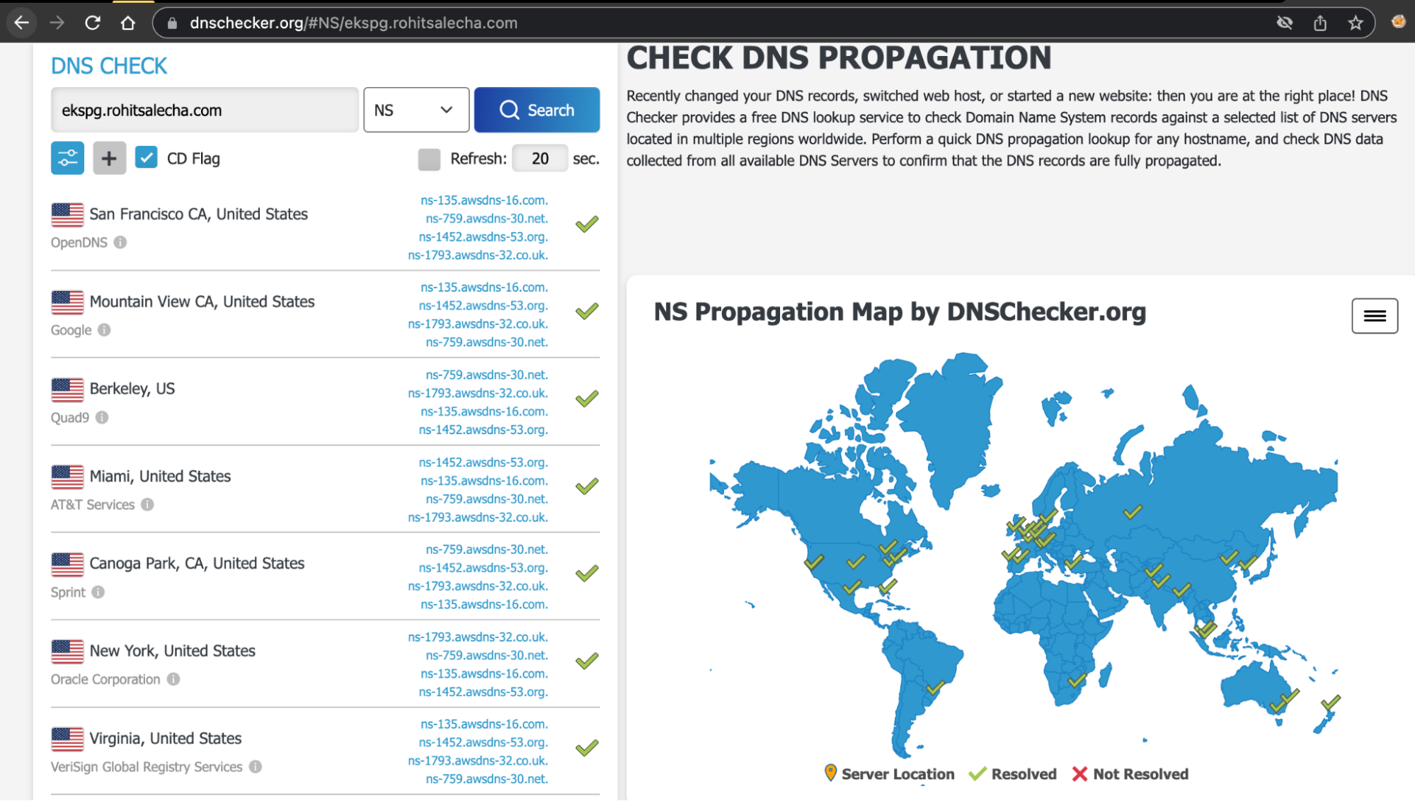 dns checker ekspg.rohitsalecha.com